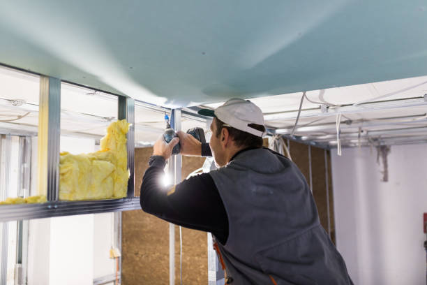 Best Local Insulation Services  in Luverne, MN