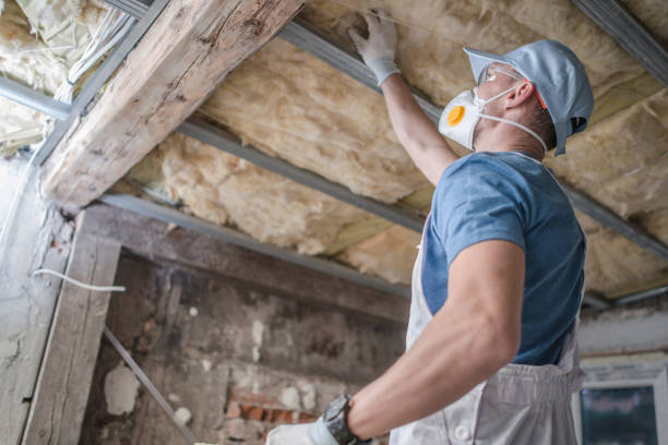 Best Spray Foam Insulation  in Luverne, MN